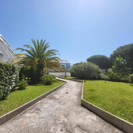 L Or Des Sables, La Petite Motte